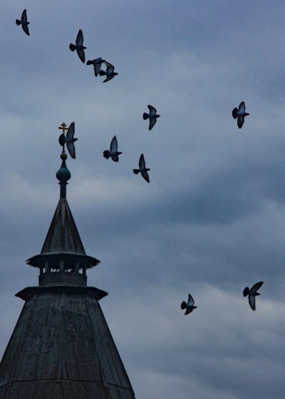 Pigeons in the sky above the roof of the bell tower